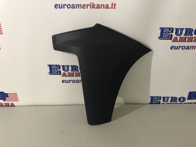 Filler Panel (Lower, LH)